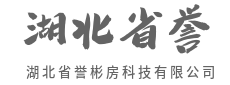数据洞察，看见看不见的价值-湖北省誉彬房科技有限公司